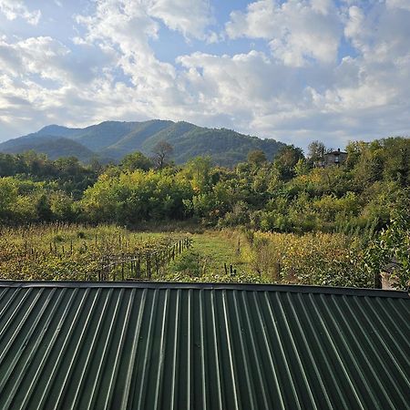 Guesthouse - Family Hotel Bagdati Екстериор снимка