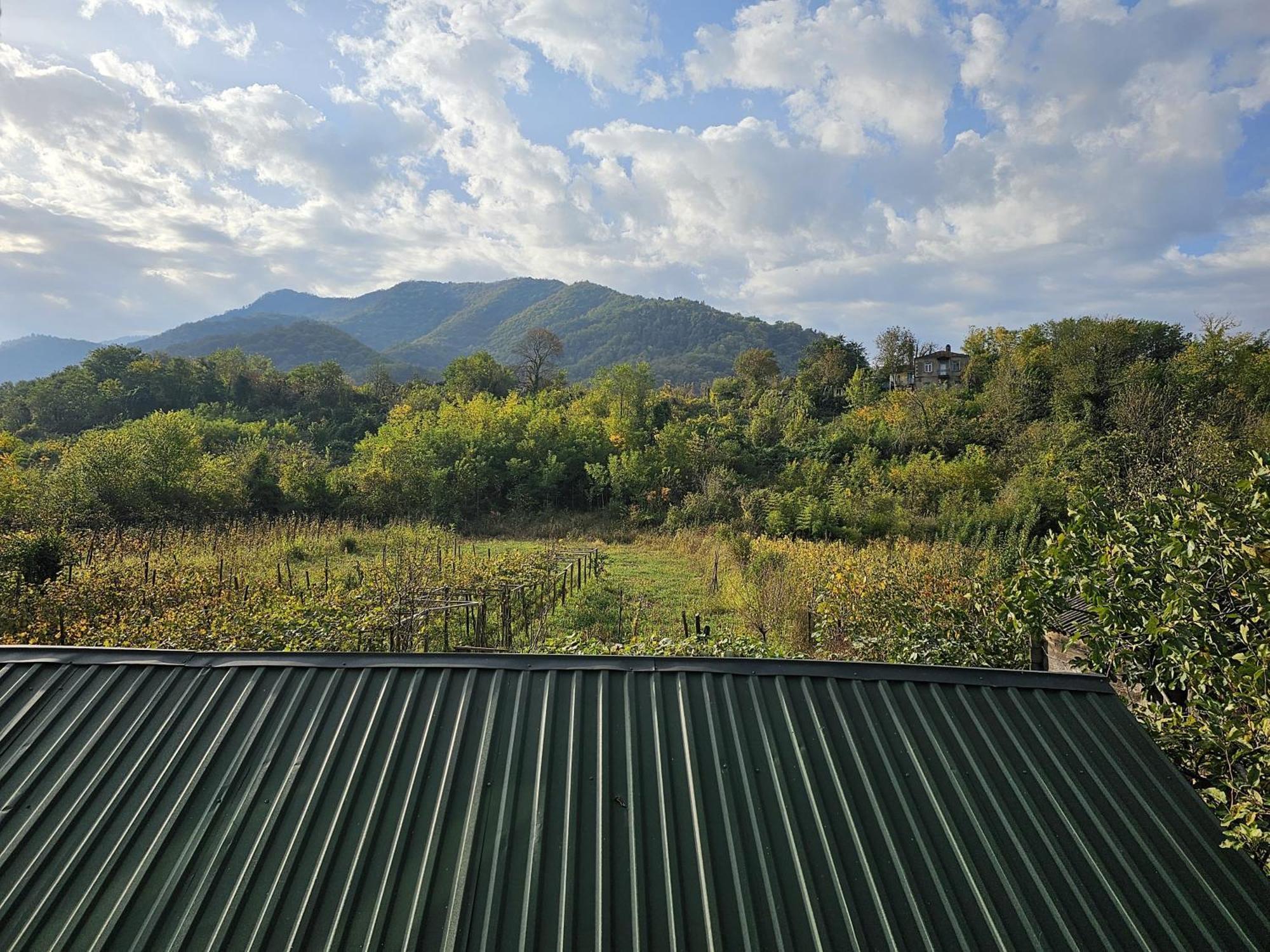 Guesthouse - Family Hotel Bagdati Екстериор снимка